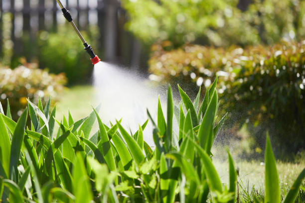 24/7 Emergency Cockroach Control experts in Dresden, OH