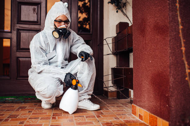 Reliable Cockroach Control contractor in Dresden, OH by Nex Pest Control
