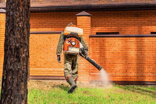 Top rated local Cockroach Control specialists in Dresden, OH